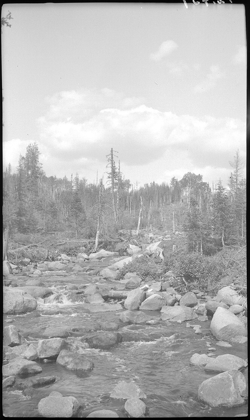 La rivière Noire dans le parc des Laurentides BAnQ numérique
