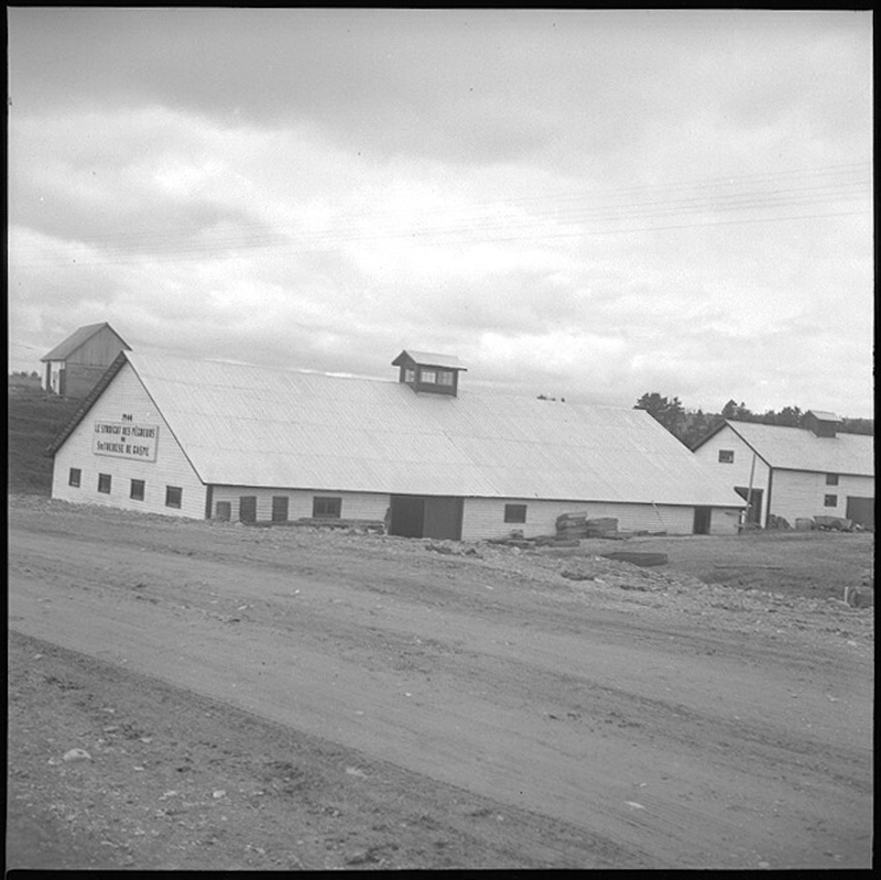 L'entrepôt syndical des pêcheurs à SainteThérèsedeGaspé BAnQ numérique