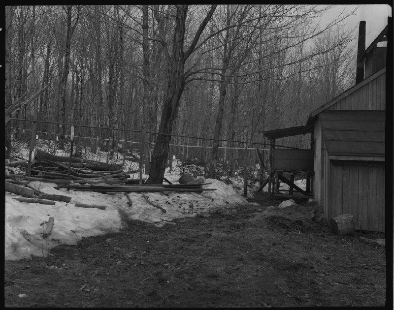 Érablière de Séraphin Vallières à SainteCatherine, comté Portneuf