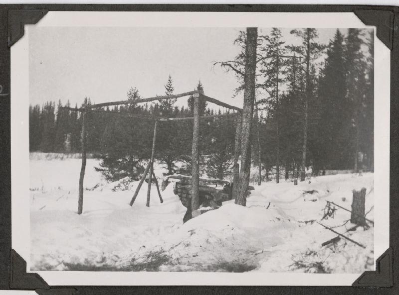 Début de la construction d'un camp en bois rond | BAnQ numérique