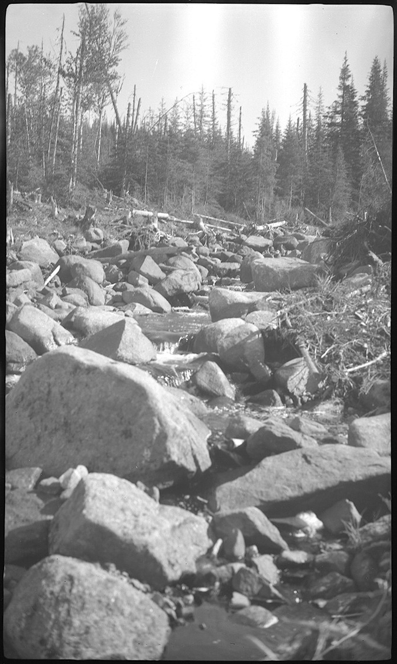 Rivière Noire près de son embouchure dans le lac Noir, Parc des