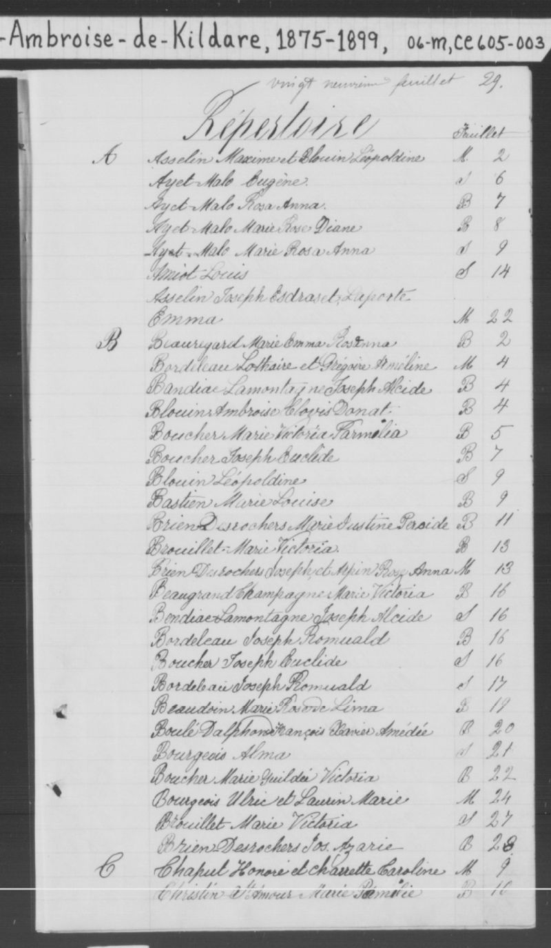 SaintAmbroisedeKildare BAnQ numérique